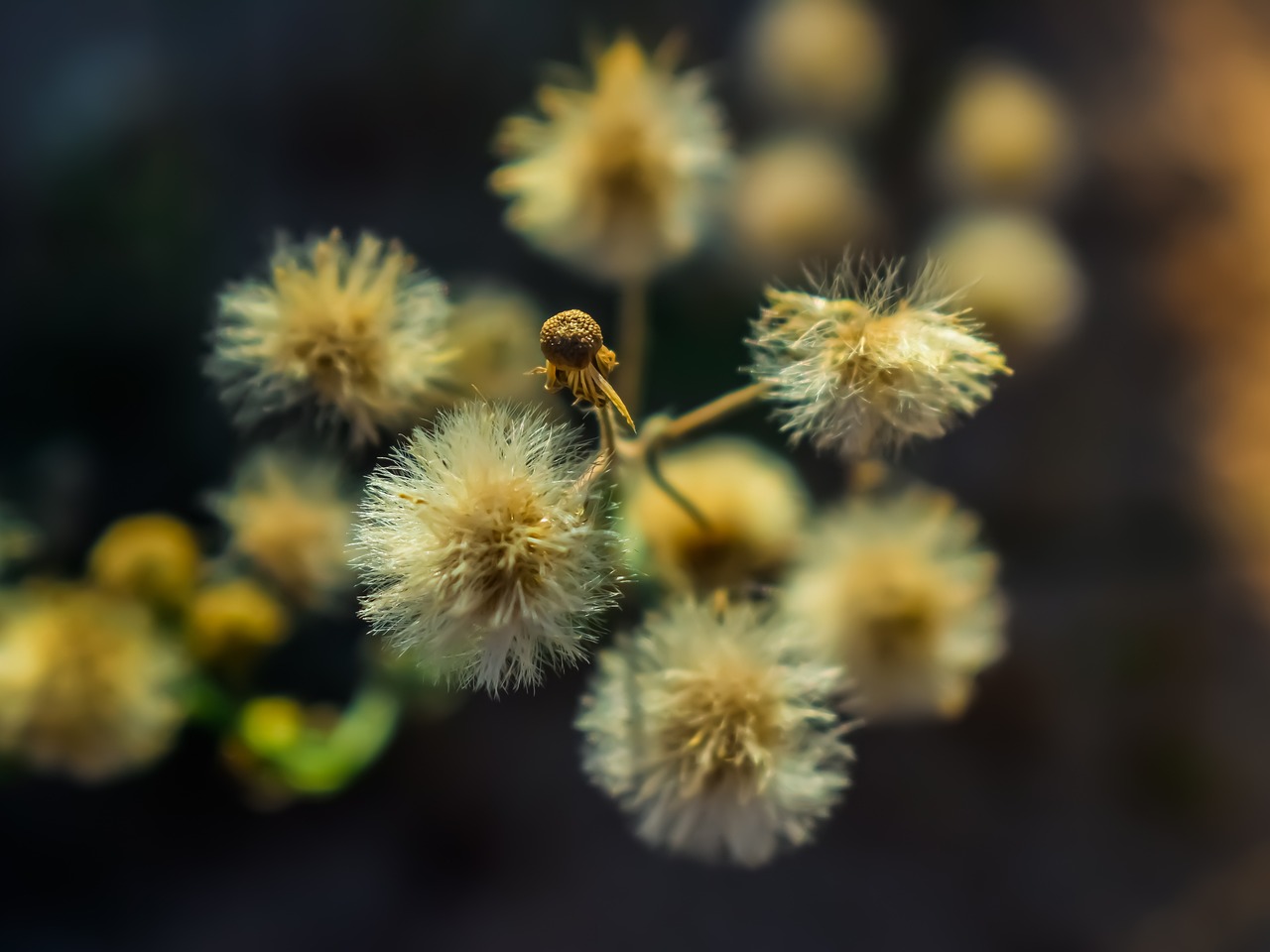 深度解读与反思，影视剧花与罪中的罪与花